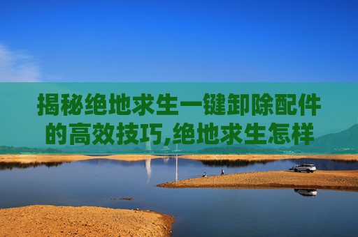 揭秘绝地求生一键卸除配件的高效技巧,绝地求生怎样一键卸下配件