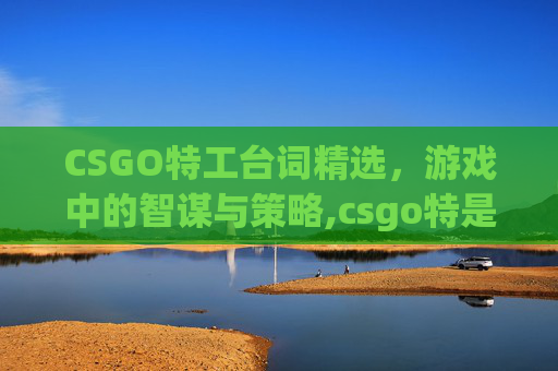 CSGO特工台词精选，游戏中的智谋与策略,csgo特是什么意思