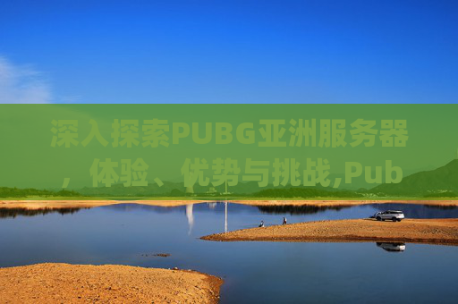 深入探索PUBG亚洲服务器，体验、优势与挑战,Pubg亚服pubg亚服