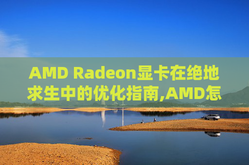 AMD Radeon显卡在绝地求生中的优化指南,AMD怎么调出滤镜