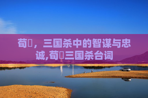 荀彧，三国杀中的智谋与忠诚,荀彧三国杀台词