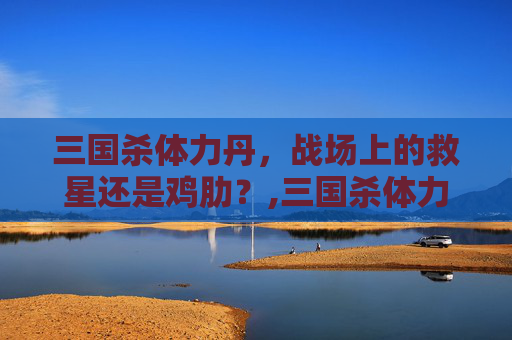 三国杀体力丹，战场上的救星还是鸡肋？,三国杀体力是什么意思