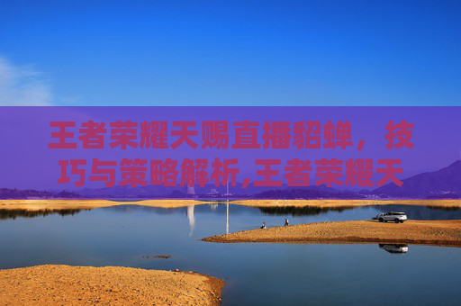 王者荣耀天赐直播貂蝉，技巧与策略解析,王者荣耀天赐直播貂蝉多少钱
