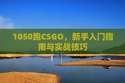 1050跑CSGO，新手入门指南与实战技巧