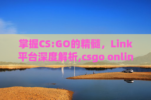 掌握CS:GO的精髓，Link平台深度解析,csgo online