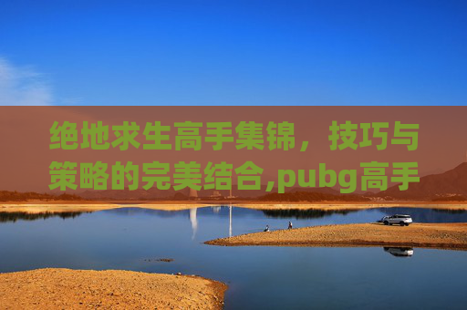 绝地求生高手集锦，技巧与策略的完美结合,pubg高手攻略