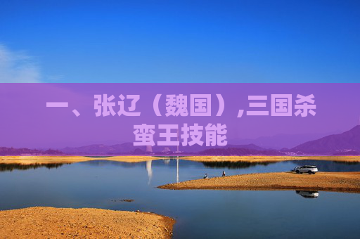 一、张辽（魏国）,三国杀蛮王技能