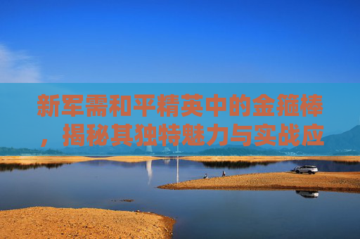 新军需和平精英中的金箍棒，揭秘其独特魅力与实战应用,和平精英即将上线的新军需套装