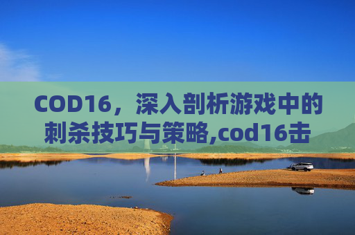 COD16，深入剖析游戏中的刺杀技巧与策略,cod16击杀动作