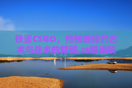 铁蛋CSGO，枪械选择的艺术与战术的精髓,cs解说铁蛋是谁