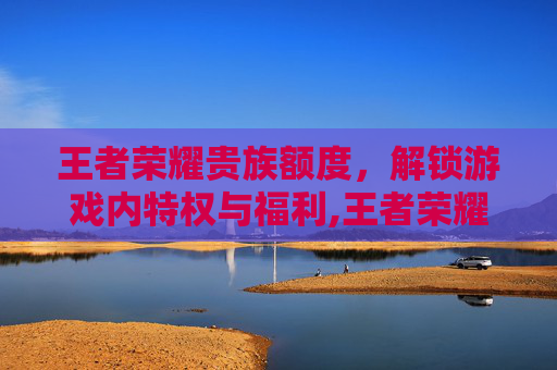 王者荣耀贵族额度，解锁游戏内特权与福利,王者荣耀贵族金额