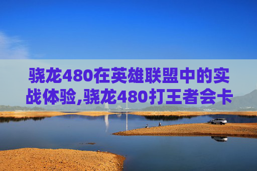 骁龙480在英雄联盟中的实战体验,骁龙480打王者会卡吗