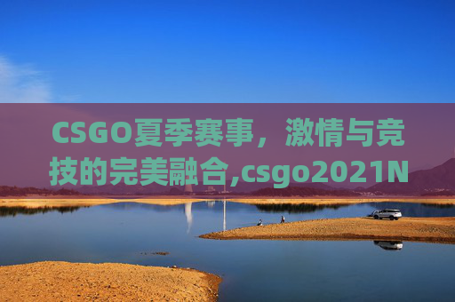 CSGO夏季赛事，激情与竞技的完美融合,csgo2021NaVi