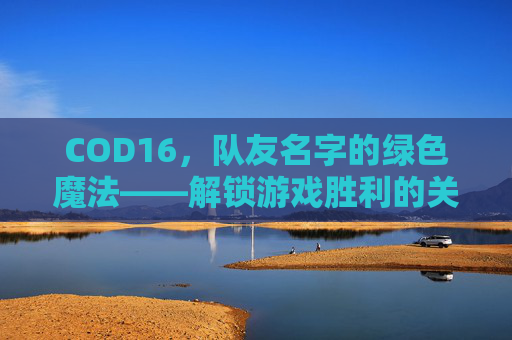COD16，队友名字的绿色魔法——解锁游戏胜利的关键,cod16名字变紫色