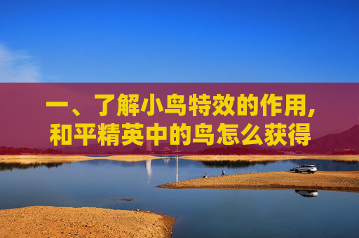 一、了解小鸟特效的作用,和平精英中的鸟怎么获得