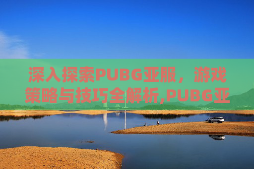 深入探索PUBG亚服，游戏策略与技巧全解析,PUBG亚服下载地址