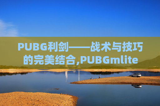 PUBG利剑——战术与技巧的完美结合,PUBGmlite