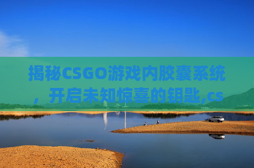 揭秘CSGO游戏内胶囊系统，开启未知惊喜的钥匙,csgo胶囊出货概率图