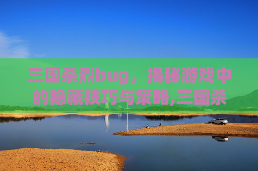 三国杀烈bug，揭秘游戏中的隐藏技巧与策略,三国杀烈焰爆拳和狂龙霸业哪个好