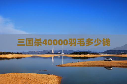 三国杀40000羽毛多少钱