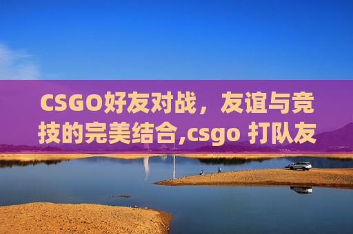 CSGO好友对战，友谊与竞技的完美结合,csgo 打队友
