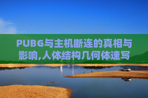 PUBG与主机断连的真相与影响,人体结构几何体速写