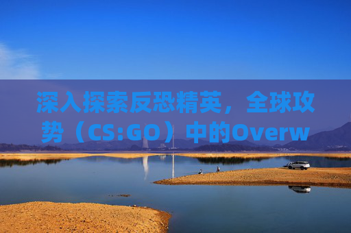 深入探索反恐精英，全球攻势（CS:GO）中的Overwatch模式,csgo里面拆弹什么键