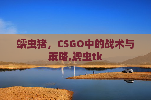 蠕虫猪，CSGO中的战术与策略,蠕虫tk