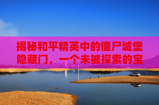 揭秘和平精英中的僵尸城堡隐藏门，一个未被探索的宝藏,和平精英僵尸城堡隐藏门怎么开