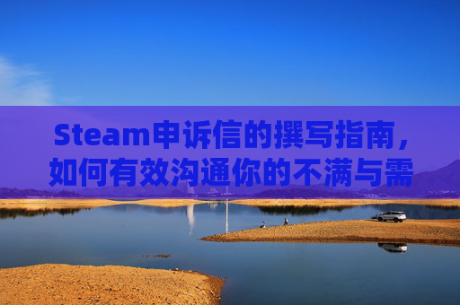 Steam申诉信的撰写指南，如何有效沟通你的不满与需求,steam申诉多久回复
