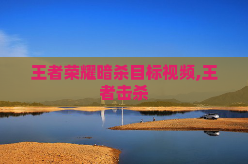 王者荣耀暗杀目标视频,王者击杀