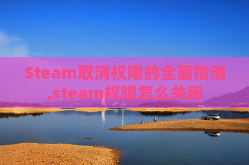 Steam取消权限的全面指南,steam权限怎么关闭