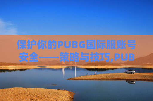 保护你的PUBG国际服账号安全——策略与技巧,PUBG国际服账号