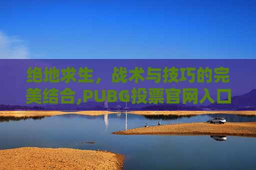 绝地求生，战术与技巧的完美结合,PUBG投票官网入口链接