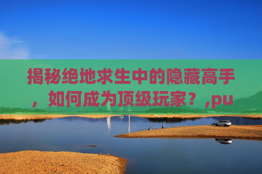 揭秘绝地求生中的隐藏高手，如何成为顶级玩家？,pubg玩家名字