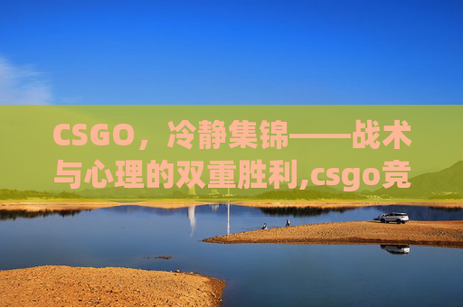 CSGO，冷静集锦——战术与心理的双重胜利,csgo竞技冷却下线算不算