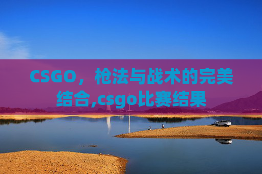 CSGO，枪法与战术的完美结合,csgo比赛结果