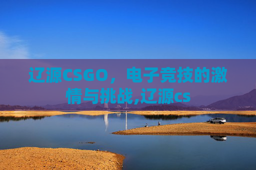 辽源CSGO，电子竞技的激情与挑战,辽源cs