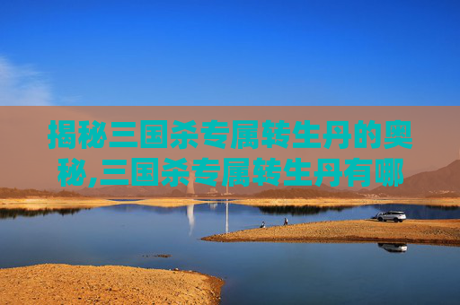 揭秘三国杀专属转生丹的奥秘,三国杀专属转生丹有哪些皮肤