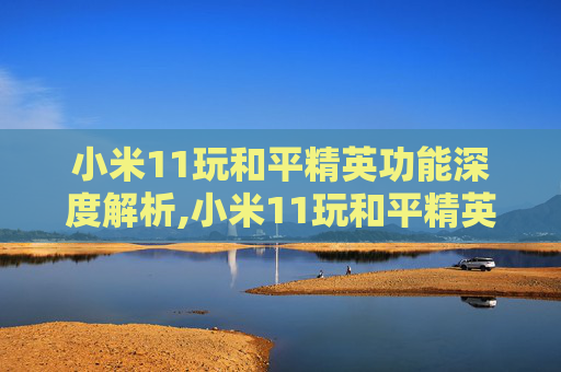 小米11玩和平精英功能深度解析,小米11玩和平精英可以开多少帧