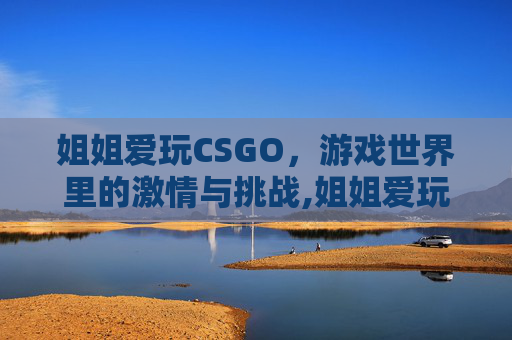 姐姐爱玩CSGO，游戏世界里的激情与挑战,姐姐爱玩的游戏