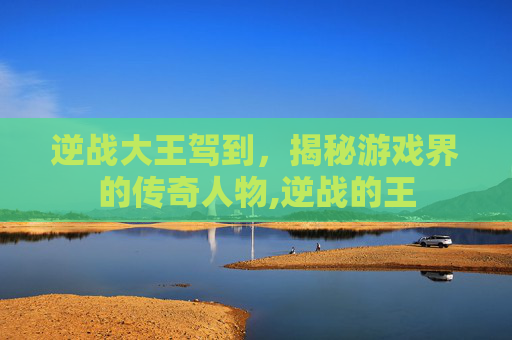 逆战大王驾到，揭秘游戏界的传奇人物,逆战的王