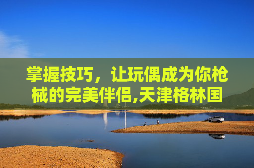 掌握技巧，让玩偶成为你枪械的完美伴侣,天津格林国际幼儿园学费