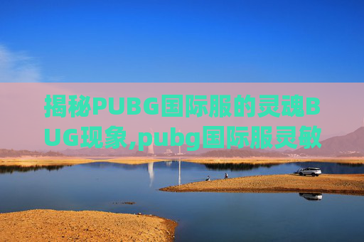 揭秘PUBG国际服的灵魂BUG现象,pubg国际服灵敏度怎么调