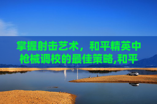 掌握射击艺术，和平精英中枪械调校的最佳策略,和平精英枪械配置方案怎么调
