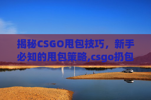 揭秘CSGO甩包技巧，新手必知的甩包策略,csgo扔包是哪个键