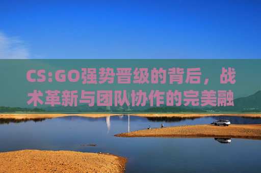 CS:GO强势晋级的背后，战术革新与团队协作的完美融合,csgo级别等级