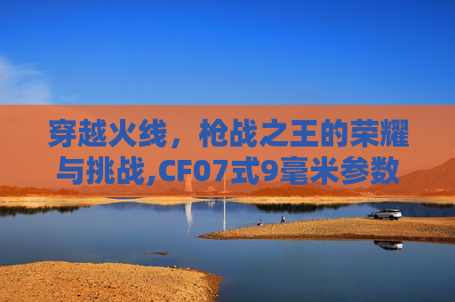 穿越火线，枪战之王的荣耀与挑战,CF07式9毫米参数配置