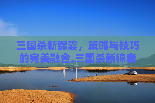 三国杀新锦囊，策略与技巧的完美融合,三国杀新锦囊牌介绍大全