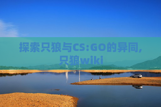 探索只狼与CS:GO的异同,只狼wiki-第1张图片-游戏守望资讯网 探索只狼与CS:GO的异同,只狼wiki-第1张图片-游戏守望资讯网